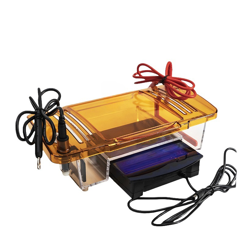 Gel Electrophoresis Tank