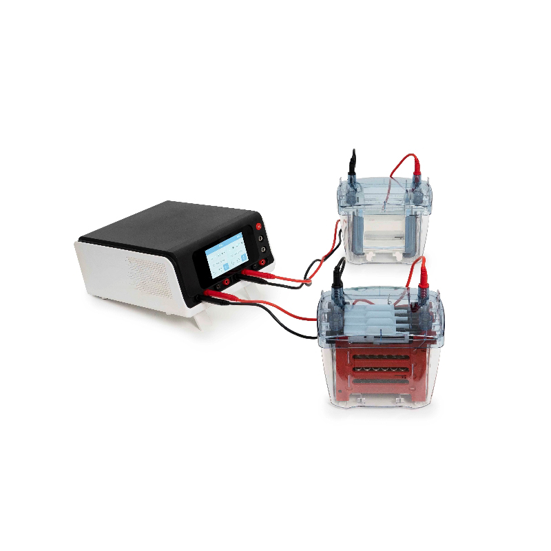 Experimento de electroforesis SDS-PAGE
