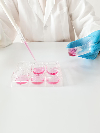 Cultivo celular: Descubriendo la tecnología de laboratorio secreta de la vida