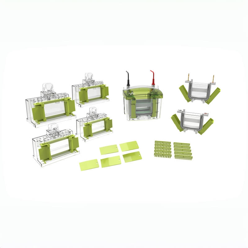 Vertical Electrophoresis Tank Vertical Electrophoresis Tank