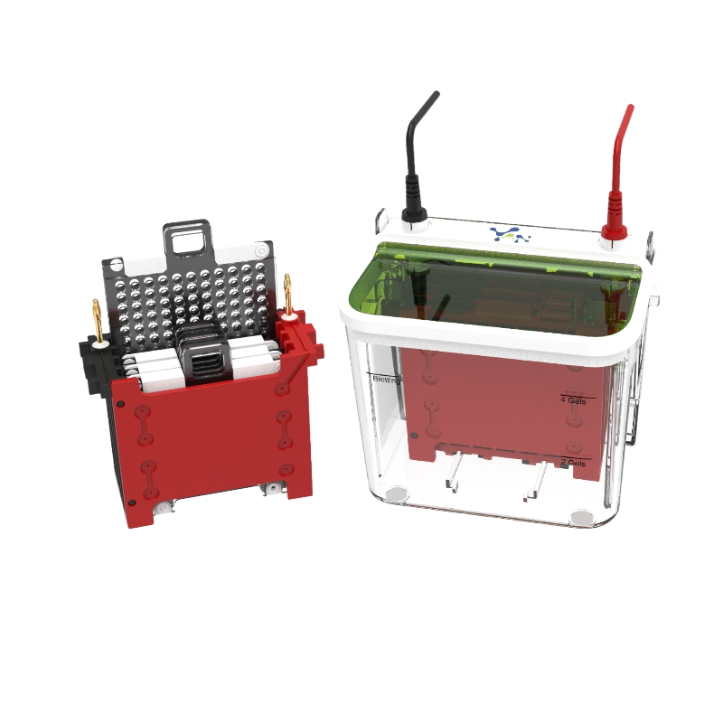 Transfer Electrophoresis Tank