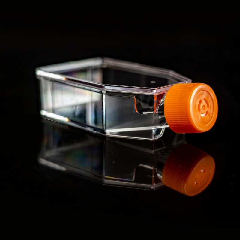 T25 Cell Culture Flask