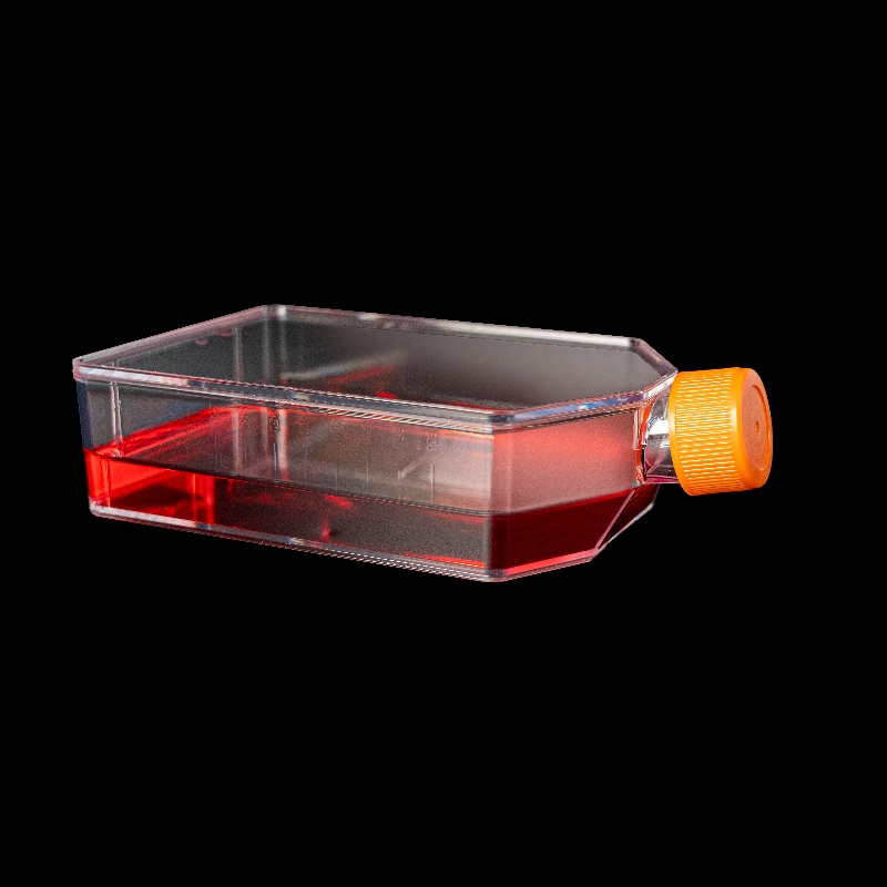 T175 Cell Culture Flask