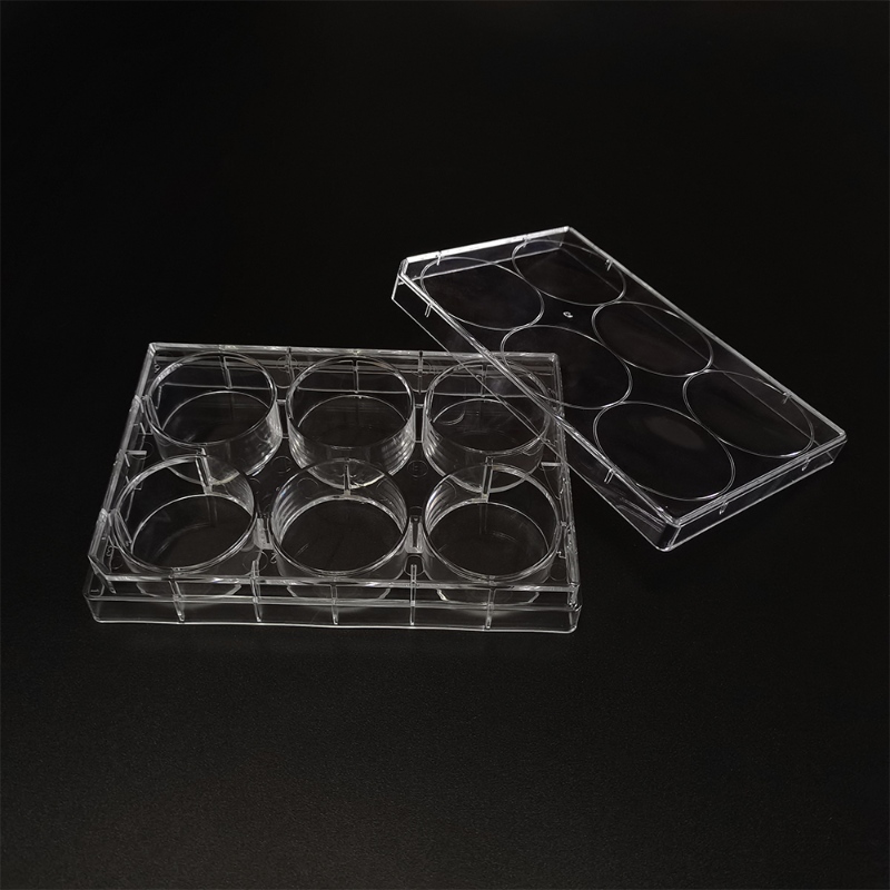 Cell Culture Plates