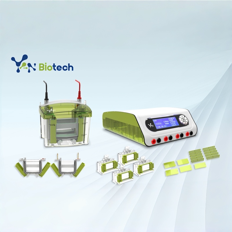 Observe DNA bands in Real-time During Nucleic Acid Electrophoresis!