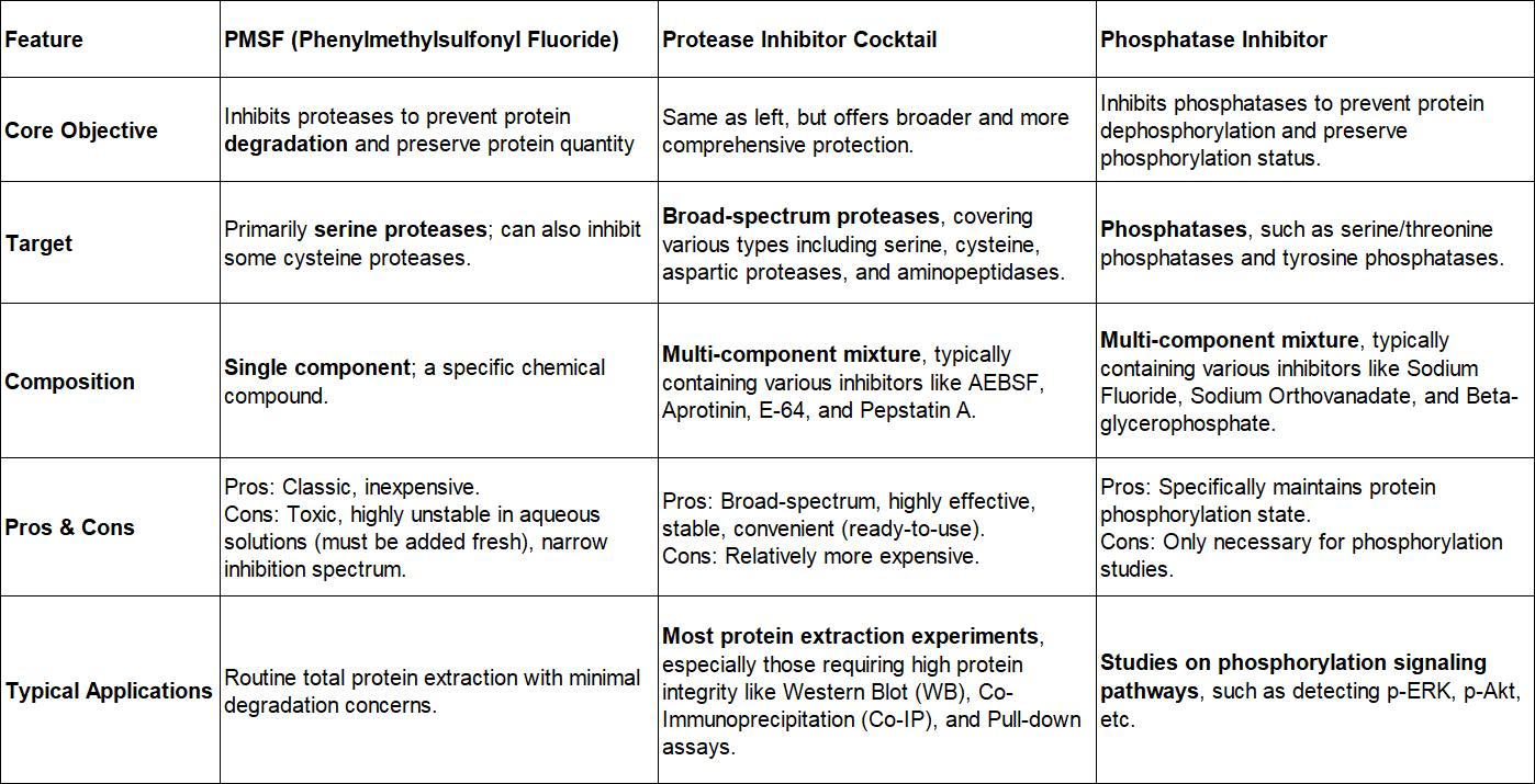Protease Inhibitor